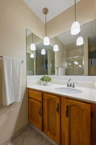 479 Templevale Drive Ne, Calgary, AB - Indoor Photo Showing Bathroom