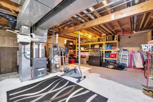 334 Lausen Place, Carseland, AB - Indoor Photo Showing Basement
