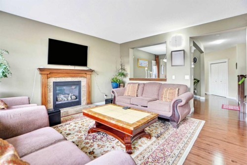 39 Skyview Shores Rise Ne, Calgary, AB - Indoor Photo Showing Living Room With Fireplace