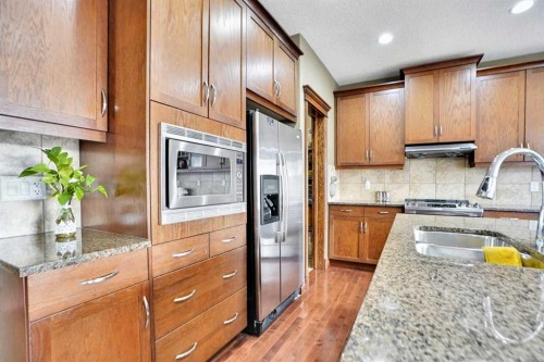 39 Skyview Shores Rise Ne, Calgary, AB - Indoor Photo Showing Kitchen With Double Sink With Upgraded Kitchen