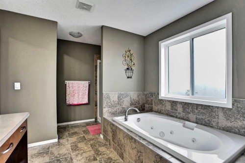 39 Skyview Shores Rise Ne, Calgary, AB - Indoor Photo Showing Bathroom