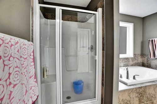 39 Skyview Shores Rise Ne, Calgary, AB - Indoor Photo Showing Bathroom