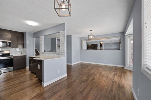 213 25 Avenue Ne, Calgary, AB - Indoor Photo Showing Kitchen With Upgraded Kitchen