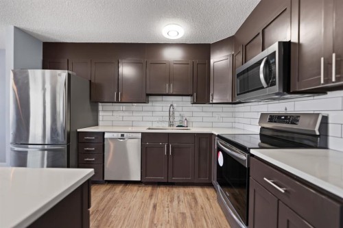 213 25 Avenue Ne, Calgary, AB - Indoor Photo Showing Kitchen With Stainless Steel Kitchen With Upgraded Kitchen