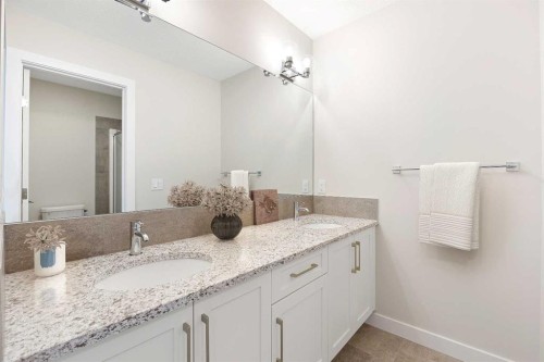 215 Waterford Heights, Chestermere, AB - Indoor Photo Showing Bathroom
