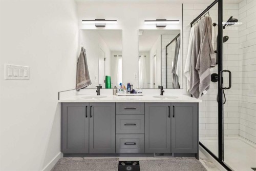12 Copperhead Garden Se, Calgary, AB - Indoor Photo Showing Bathroom