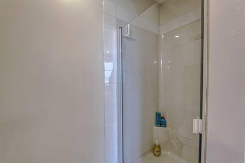 111 West Springs Way Sw, Calgary, AB - Indoor Photo Showing Bathroom