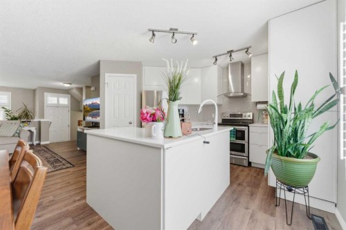 159 Mckenzie Towne Gate Se, Calgary, AB - Indoor Photo Showing Kitchen