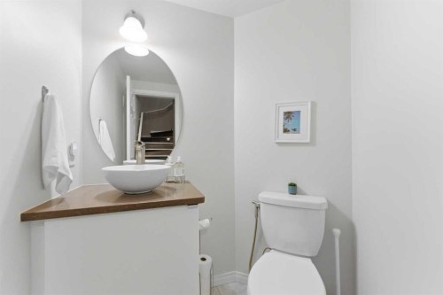 159 Mckenzie Towne Gate Se, Calgary, AB - Indoor Photo Showing Bathroom