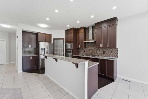 42 Skyview Point Rise Ne, Calgary, AB - Indoor Photo Showing Kitchen With Upgraded Kitchen
