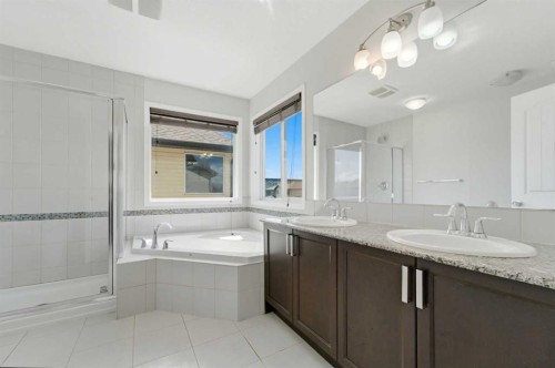 42 Skyview Point Rise Ne, Calgary, AB - Indoor Photo Showing Bathroom