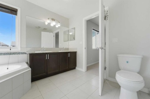 42 Skyview Point Rise Ne, Calgary, AB - Indoor Photo Showing Bathroom