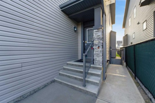 42 Skyview Point Rise Ne, Calgary, AB - Outdoor
