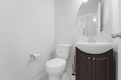 42 Skyview Point Rise Ne, Calgary, AB - Indoor Photo Showing Bathroom