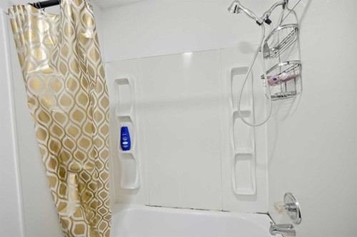 65 Falmere Way Ne, Calgary, AB - Indoor Photo Showing Bathroom