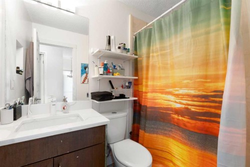 21 Mckernan Road Se, Calgary, AB - Indoor Photo Showing Bathroom