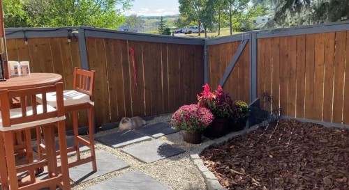 11-800 Bowcroft Place, Cochrane, AB - Outdoor
