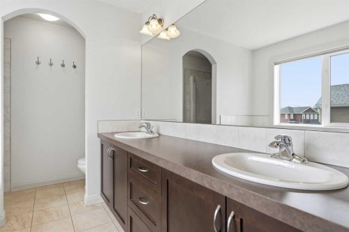 121 Copperstone Close Se, Calgary, AB - Indoor Photo Showing Bathroom