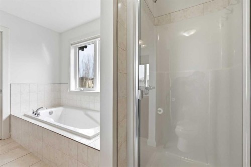 121 Copperstone Close Se, Calgary, AB - Indoor Photo Showing Bathroom