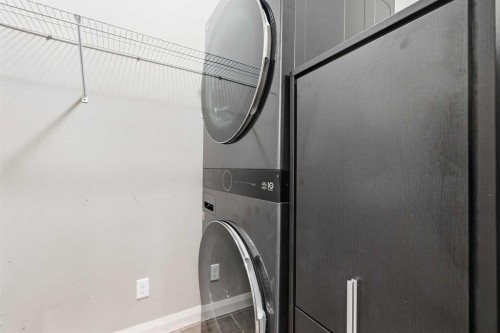 121 Copperstone Close Se, Calgary, AB - Indoor Photo Showing Laundry Room