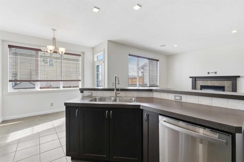 121 Copperstone Close Se, Calgary, AB - Indoor Photo Showing Kitchen With Double Sink
