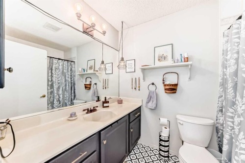 292 Waterstone Crescent Se, Airdrie, AB - Indoor Photo Showing Bathroom