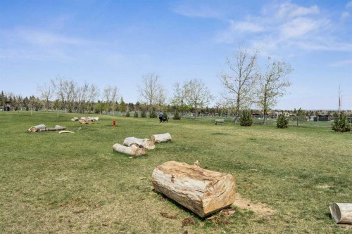 1043 32 Avenue Nw, Calgary, AB - Outdoor With View