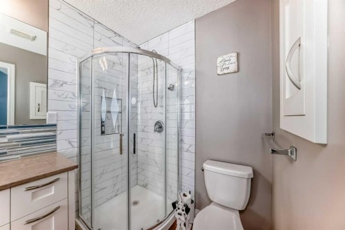 255 Copperfield Manor Se, Calgary, AB - Indoor Photo Showing Bathroom