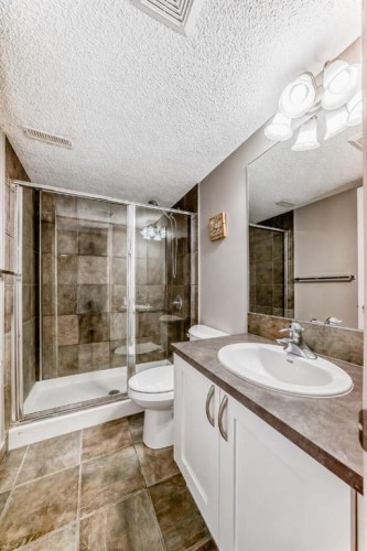 255 Copperfield Manor Se, Calgary, AB - Indoor Photo Showing Bathroom
