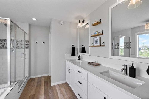 223 Howse Drive Ne, Calgary, AB - Indoor Photo Showing Bathroom
