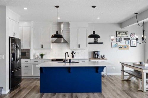 223 Howse Drive Ne, Calgary, AB - Indoor Photo Showing Kitchen With Upgraded Kitchen