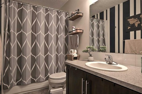 72 Deerpoint Road Se, Calgary, AB - Indoor Photo Showing Bathroom