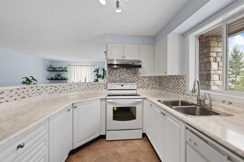 2219-2600 66 Ne, Calgary, AB - Indoor Photo Showing Kitchen With Double Sink