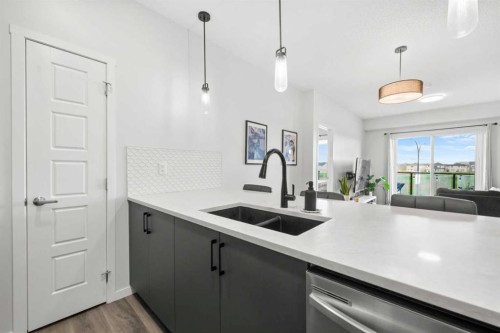 2213-33 Carringham Gate Nw, Calgary, AB - Indoor Photo Showing Kitchen With Double Sink