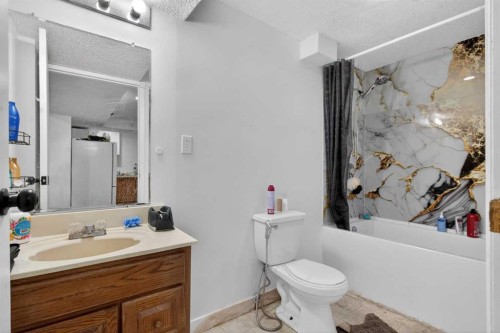 128 Castledale Crescent Ne, Calgary, AB - Indoor Photo Showing Bathroom