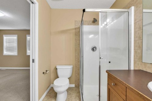 247 Evermeadow Avenue Sw, Calgary, AB - Indoor Photo Showing Bathroom