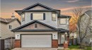 105 Cimarron Park Circle, Okotoks, AB  - Outdoor 