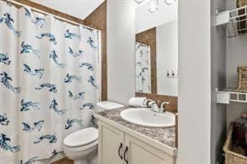 105 Cimarron Park Circle, Okotoks, AB - Indoor Photo Showing Bathroom
