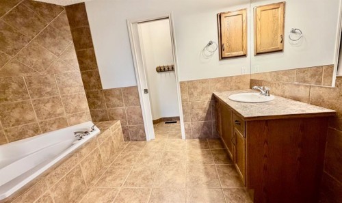 105 Cimarron Park Circle, Okotoks, AB - Indoor Photo Showing Bathroom