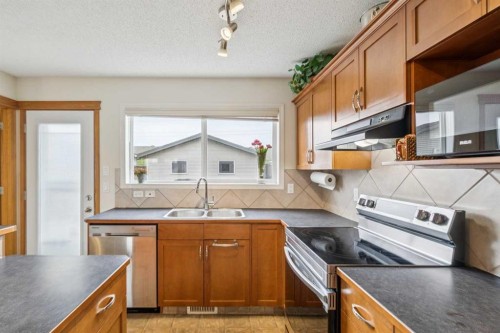 146 Cranberry Close Se, Calgary, AB - Indoor Photo Showing Kitchen With Double Sink