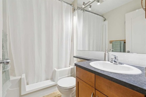 146 Cranberry Close Se, Calgary, AB - Indoor Photo Showing Bathroom