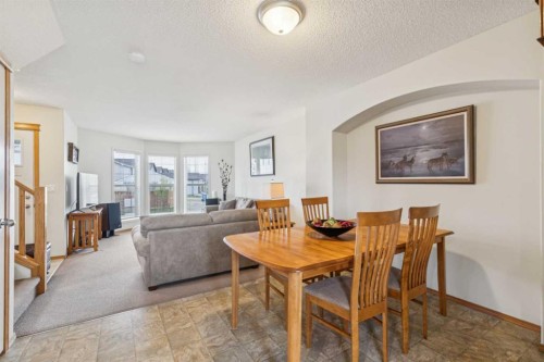 146 Cranberry Close Se, Calgary, AB - Indoor Photo Showing Living Room