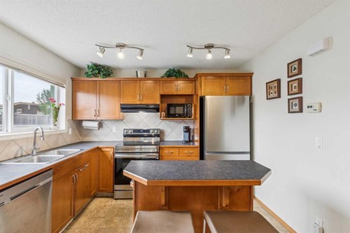 146 Cranberry Close Se, Calgary, AB - Indoor Photo Showing Kitchen With Double Sink