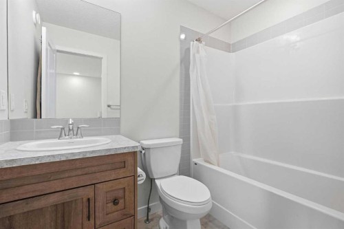 1612 Rangeview Drive Se, Calgary, AB - Indoor Photo Showing Bathroom