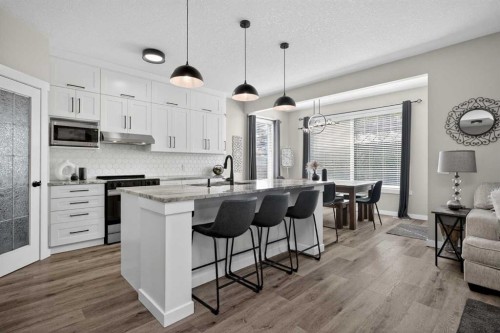 176 Chapalina Heights Se, Calgary, AB - Indoor Photo Showing Kitchen With Upgraded Kitchen