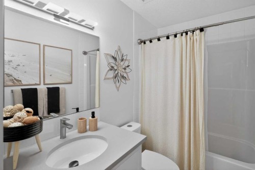 176 Chapalina Heights Se, Calgary, AB - Indoor Photo Showing Bathroom