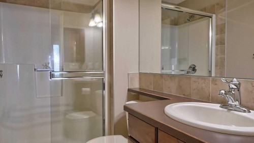 364 Chapala Point Se, Calgary, AB - Indoor Photo Showing Bathroom