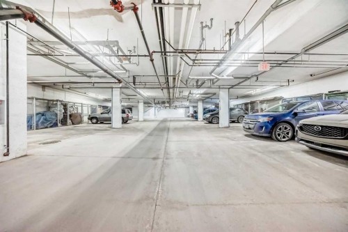 101-22 Panatella Road Nw, Calgary, AB - Indoor Photo Showing Garage