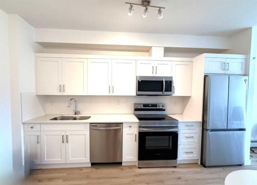 106-70 Sage Hill Walk Nw, Calgary, AB - Indoor Photo Showing Kitchen With Double Sink