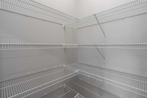 109 Dawson Drive, Chestermere, AB - Indoor With Storage
